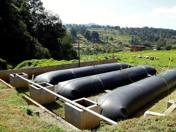 Biogas Storage Systems
